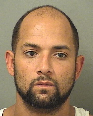  JEFFERY DEAN BIR Results from Palm Beach County Florida for  JEFFERY DEAN BIR