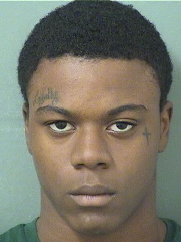  DORWINDY AMIUS Resultados de la busqueda para Palm Beach County Florida para  DORWINDY AMIUS