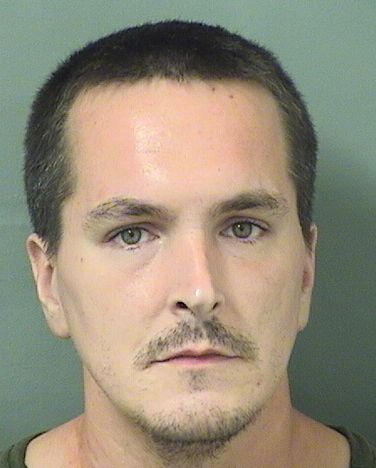  THEODORE WALLACE MAKROPOULOUS Results from Palm Beach County Florida for  THEODORE WALLACE MAKROPOULOUS