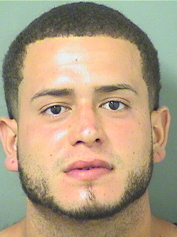  ANTHONY ORTIZ ROLON Resultados de la busqueda para Palm Beach County Florida para  ANTHONY ORTIZ ROLON