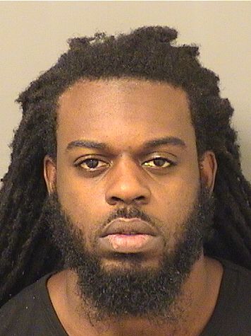  DAMIAN ALEXANDER FORTNER Results from Palm Beach County Florida for  DAMIAN ALEXANDER FORTNER