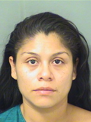  ANNA LIDIA GONZALEZ Results from Palm Beach County Florida for  ANNA LIDIA GONZALEZ
