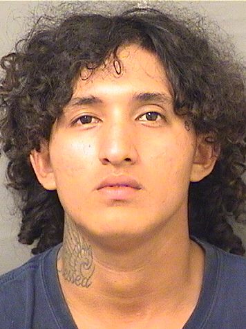  FERNANDO LEONEL NARANJO ZARATE Results from Palm Beach County Florida for  FERNANDO LEONEL NARANJO ZARATE