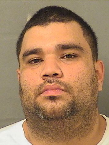  JUAN FELIPE JIMENEZ Results from Palm Beach County Florida for  JUAN FELIPE JIMENEZ