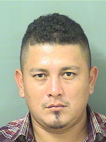  PEDRO MENDEZ MIRANDA Results from Palm Beach County Florida for  PEDRO MENDEZ MIRANDA