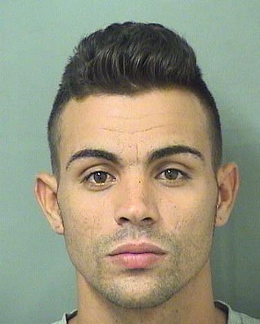  ANTONIO LUIS RODRIGUEZDIAZ Resultados de la busqueda para Palm Beach County Florida para  ANTONIO LUIS RODRIGUEZDIAZ