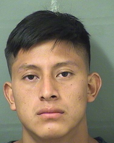  BENITO DANIEL RIVERAGALLEGO Results from Palm Beach County Florida for  BENITO DANIEL RIVERAGALLEGO