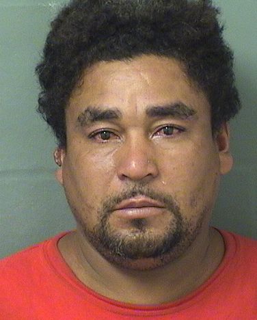  ANGEL HERNANDEZ Results from Palm Beach County Florida for  ANGEL HERNANDEZ