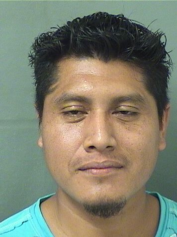 JOSE E VELASCO Results from Palm Beach County Florida for JOSE E VELASCO JOSE E VELASCO Results from Palm Beach County Florida for JOSE E VELASCO