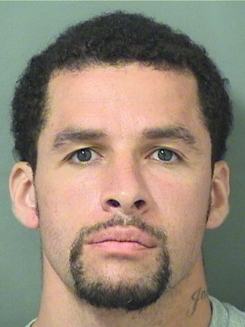  MICHAEL ANTHONY FASANARO Resultados de la busqueda para Palm Beach County Florida para  MICHAEL ANTHONY FASANARO