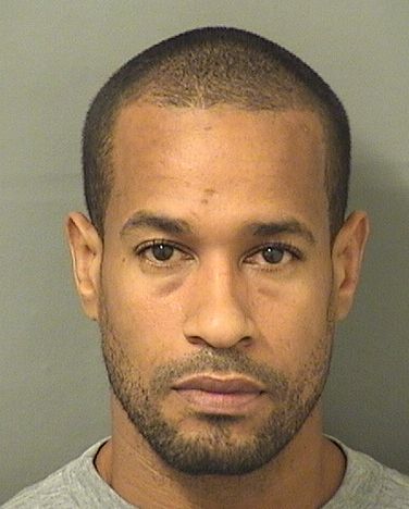  HENRY ALEJANDRO RAMIREZ Results from Palm Beach County Florida for  HENRY ALEJANDRO RAMIREZ