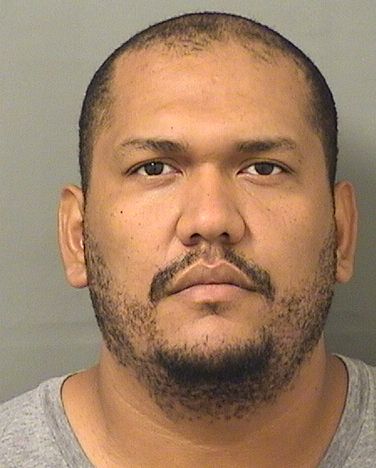  DENNIS DIAZ Results from Palm Beach County Florida for  DENNIS DIAZ