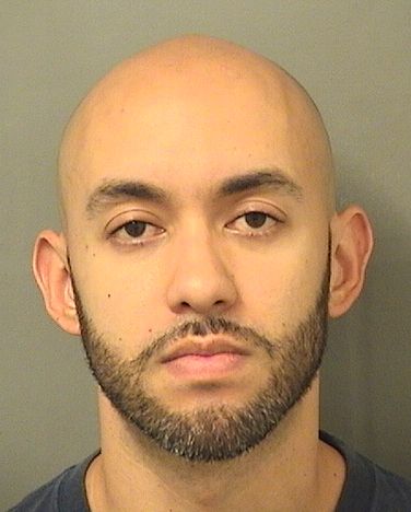  DIEGO FENANDO SOLORZANO Results from Palm Beach County Florida for  DIEGO FENANDO SOLORZANO