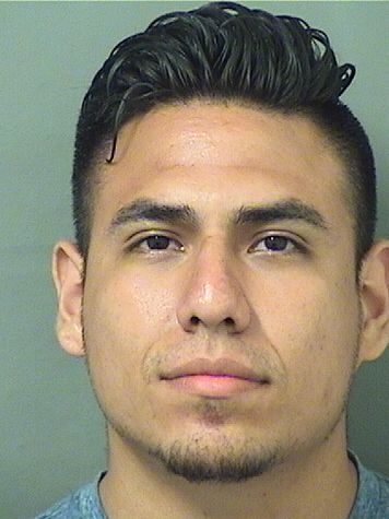  HENRY SANTIBANEZ Results from Palm Beach County Florida for  HENRY SANTIBANEZ