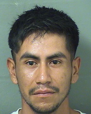 LUIS ALBERTO RODRIGUEZRAMIREZ Results from Palm Beach County Florida for  LUIS ALBERTO RODRIGUEZRAMIREZ  LUIS ALBERTO RODRIGUEZRAMIREZ Results from Palm Beach County Florida for  LUIS ALBERTO RODRIGUEZRAMIREZ