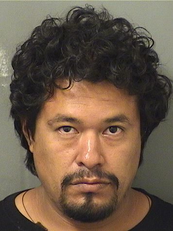  JONATHAN SAUL GUERRERO Results from Palm Beach County Florida for  JONATHAN SAUL GUERRERO