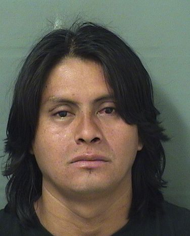  ALEX LUIS GONZALEZ Results from Palm Beach County Florida for  ALEX LUIS GONZALEZ