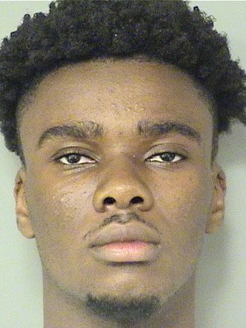  DAVIDSON STERLING Resultados de la busqueda para Palm Beach County Florida para  DAVIDSON STERLING