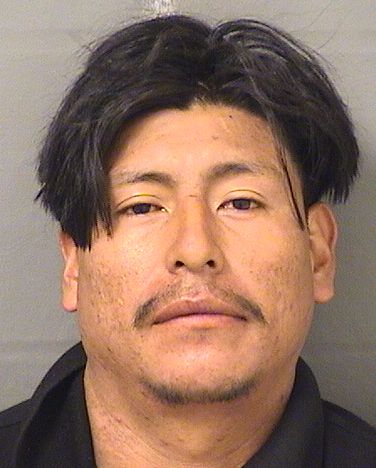  AGUSTIN POJOY Resultados de la busqueda para Palm Beach County Florida para  AGUSTIN POJOY