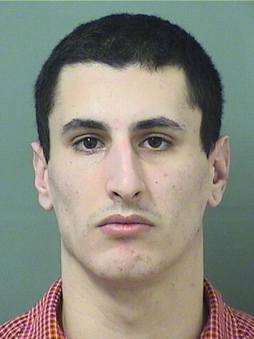  NICHOLAS CATSOULIS Results from Palm Beach County Florida for  NICHOLAS CATSOULIS