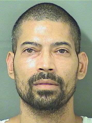  DENNIS TORRES Results from Palm Beach County Florida for  DENNIS TORRES