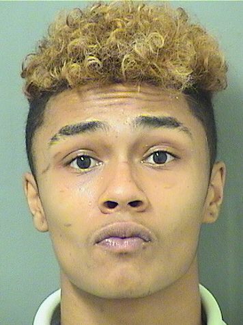  GREGORY D HOLT Results from Palm Beach County Florida for  GREGORY D HOLT