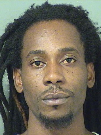  REGINALD ORMEJUSTE Results from Palm Beach County Florida for  REGINALD ORMEJUSTE