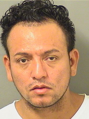  MIGUEL ANGEL ALVAREZMARADIAGA Photo For  MIGUEL ANGEL ALVAREZMARADIAGA