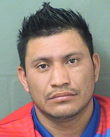  LEONARDO MIRANDA Resultados de la busqueda para Palm Beach County Florida para  LEONARDO MIRANDA