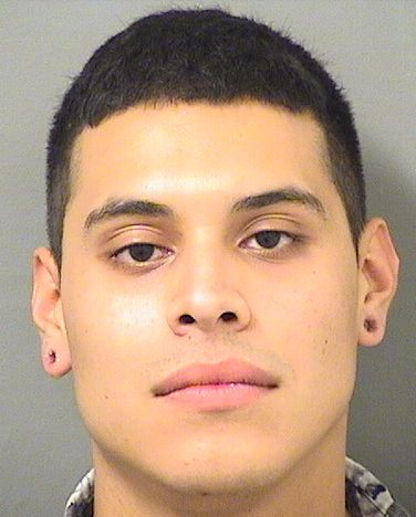  GELSON CARLOS RIVERA Results from Palm Beach County Florida for  GELSON CARLOS RIVERA