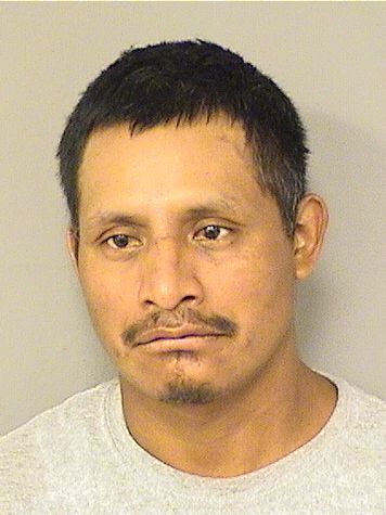  ROLANDO M ANDRES Resultados de la busqueda para Palm Beach County Florida para  ROLANDO M ANDRES