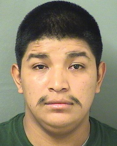  CARLOS SEBASTIAN MORALESJORGE Resultados de la busqueda para Palm Beach County Florida para  CARLOS SEBASTIAN MORALESJORGE