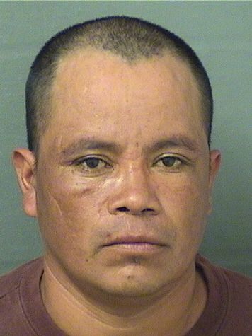  GASPAR JIMENEZ Results from Palm Beach County Florida for  GASPAR JIMENEZ