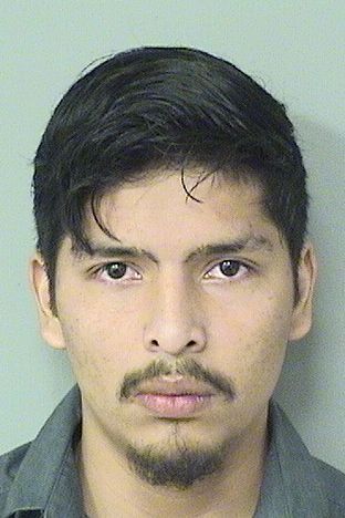  CARLOS EDWARDO GONZALEZ Results from Palm Beach County Florida for  CARLOS EDWARDO GONZALEZ