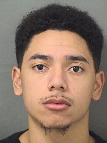  TEVIN K MARTINEZWILLIAMS Resultados de la busqueda para Palm Beach County Florida para  TEVIN K MARTINEZWILLIAMS