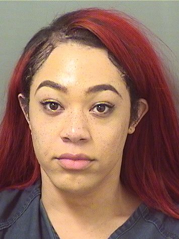  JASON LAMAR BOYD Results from Palm Beach County Florida for  JASON LAMAR BOYD