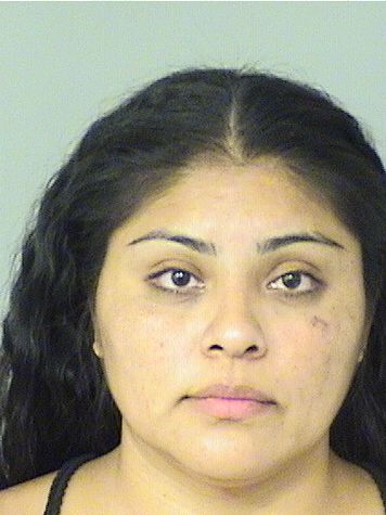  ERIKA A ESCOBEDO Resultados de la busqueda para Palm Beach County Florida para  ERIKA A ESCOBEDO