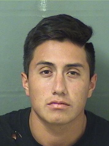  DEYBY ROBERTO PEREZDELEON Results from Palm Beach County Florida for  DEYBY ROBERTO PEREZDELEON