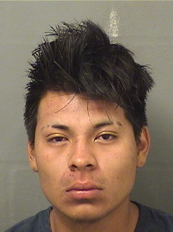 MIGUEL A SANTOS Photos For  MIGUEL A SANTOS  MIGUEL A SANTOS Photo For  MIGUEL A SANTOS