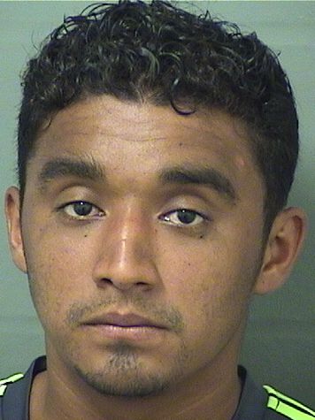  MAYLO ERNESTO SAZOALDANA Results from Palm Beach County Florida for  MAYLO ERNESTO SAZOALDANA