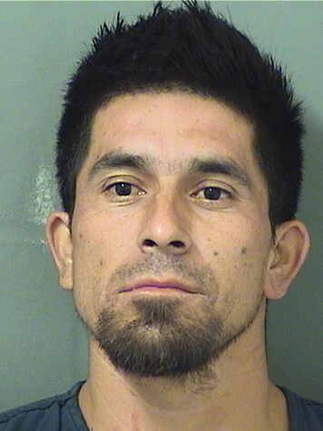  JOSE ARMANDO RIVERAGONZALEZ Results from Palm Beach County Florida for  JOSE ARMANDO RIVERAGONZALEZ