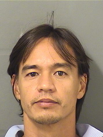  MICHAEL WILSEN NGOJEDA Results from Palm Beach County Florida for  MICHAEL WILSEN NGOJEDA