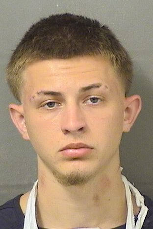  DYLAN TRAVIS LOSEY Results from Palm Beach County Florida for  DYLAN TRAVIS LOSEY