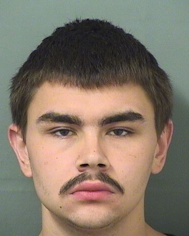  DAVID STANLEY WILLIAM Results from Palm Beach County Florida for  DAVID STANLEY WILLIAM