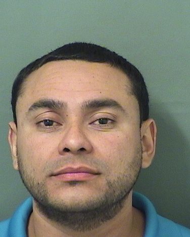  FRANCISCO JOSE MAIRENAAMAYA Resultados de la busqueda para Palm Beach County Florida para  FRANCISCO JOSE MAIRENAAMAYA