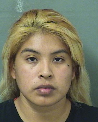  STEPHANIE LEEANN HALL Resultados de la busqueda para Palm Beach County Florida para  STEPHANIE LEEANN HALL