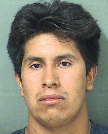  MONTEJO MATIAS RAMIREZ Results from Palm Beach County Florida for  MONTEJO MATIAS RAMIREZ