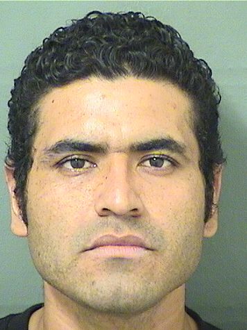  JIMMYESTUARDO ALVARADOVALDES Results from Palm Beach County Florida for  JIMMYESTUARDO ALVARADOVALDES