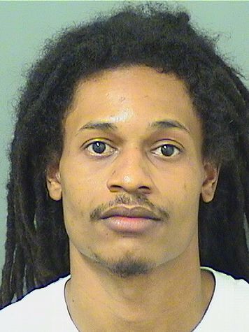  ROBERT D Jr LYNNE Results from Palm Beach County Florida for  ROBERT D Jr LYNNE