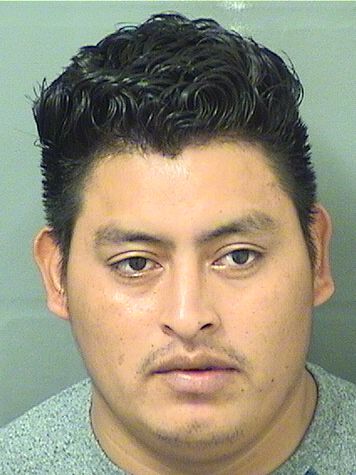  MYNOR WILMAN VASQUEZPEREZ Results from Palm Beach County Florida for  MYNOR WILMAN VASQUEZPEREZ